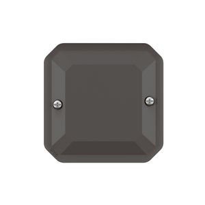 Blindplaat IP55 IK08 antraciet Plexo VVE=5