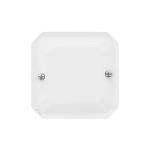 Blindplaat IP55 IK08 wit Plexo