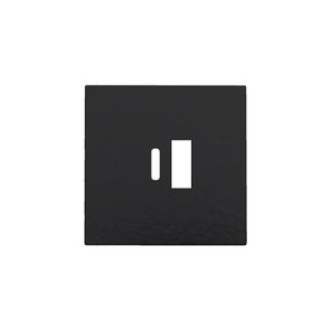 Afwerkingsset dubbele smart USB-A-/USB-C-lader piano black