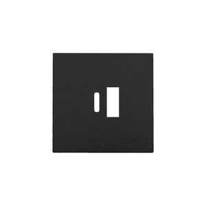 Afwerkingsset dubbele smart USB-A-/USB-C-lader piano black