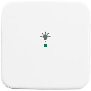 Free@Home bedieningswip 1-voudig licht R-alpin (6231-10-214)