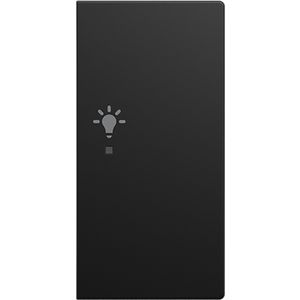 FaH bedieningswip rechts 2-v licht SI-B-matzwart