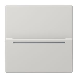 Hotelcard-Schakelaar RFID LS990 li.grijs