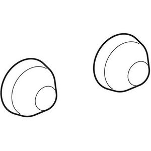 afdekkappen voor bevestigingspunten van urinoi 596440000