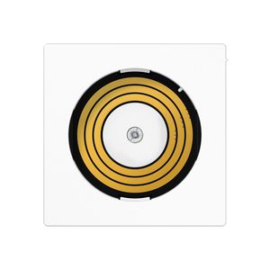 Afdekking P&L A500 alpine wit voor PL08U