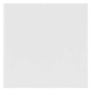 Blindplaat 2 modulen wit Mosaic