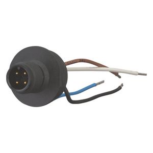 Inbouwstekker M12 A-gecod. +doorvoer M20 IP66 250V 4A VVE=10