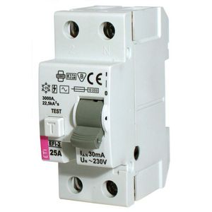 Aardlekschakelaar EFI-2 100A 100mA 2-polig 2062532