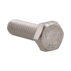 BIS Zesk.Tapbout ISO4017 RVS316 M10X25mm VVE=100