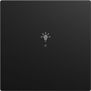 FaH bedieningswip 1-v licht SI-B-matzwart