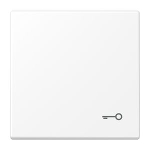 Schakelwip LS990 matwit m.symb. sleutel