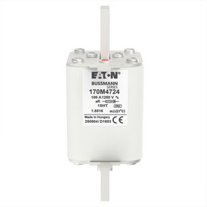 Zekering hoge snelheid 100A AC 1250V 100kA 1 53x63x1 VVE=3