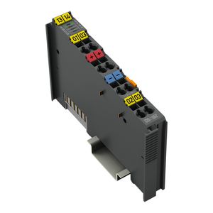 2-kanaals digitale ingang DC 110V 3ms donkergrijs