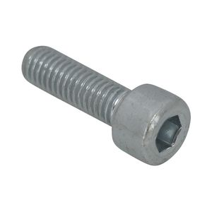 BIS Binnenzeskantbout ev M8x16mm VVE=200
