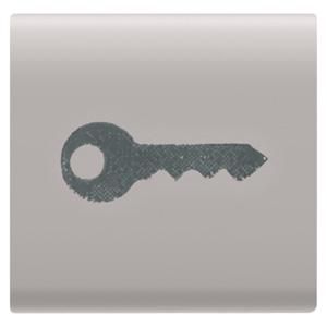 INTERCHANGEABLE BUTTON KEY-22X22mm-KEY-NATURAL SATIN B VVE=4