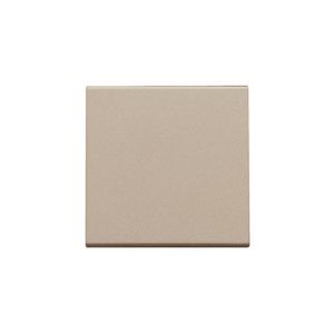 Afwerkingsset enkelv. elektr. schakelaar/knop champagne