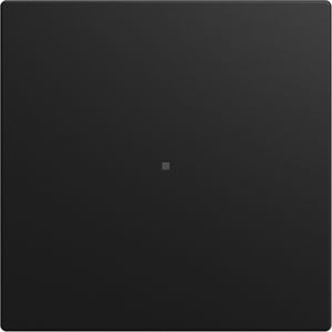 FaH bedieningswip 1-voudig SI-B-matzwart