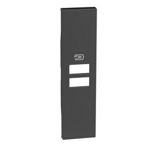 Sierplaat 2xUSB 1 module zwart LivingNow