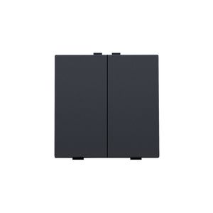 2-voudige drukknop Home Control anthracite