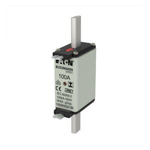 Zekering laagsp. 100A AC 500V NH01 gL/gG dubbele mel VVE=3
