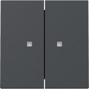 Wip 2-v ctrl.v. System 55 antraciet
