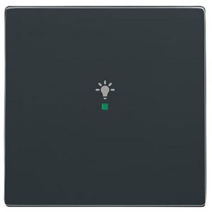 Free@Home bedieningswip 1-voudig licht f-antraciet (6231-10-81)