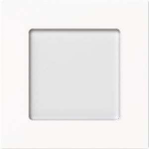 Centraalplaat voor lichtsignaal art-matwit