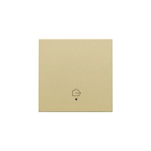 Afwerkingsset lens geconn. enkelv. Schakelaar gold