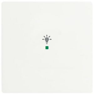 Free@Home bedieningswip 1v licht f-matwit (6231-10-884)