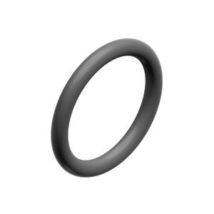 O-ring 17,12x2,62 (10x)