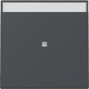 Wip ctrl.v. + TK System 55 antraciet