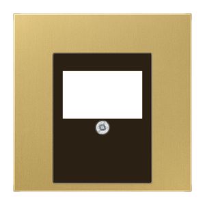 Afdekking USB+luidspr.LS messing klass.