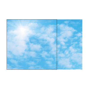 BL Sky LED 6060 4000lm Type 02 Sunlight 4 Panel DALI