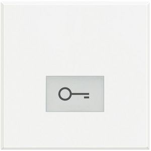 Toets sleutel symbool 2 modulen Axolute White
