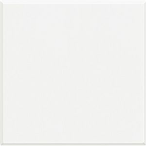 Blindplaat 2 modulen Axolute White