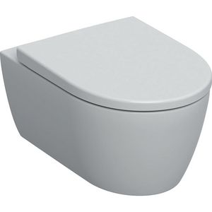 Wandcloset combipack iCon 530mm diepspoel EFF3 rimfree incl. zitting softclose quickrelease