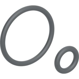 Set O ringen tbv AqC400/Sela douchekop