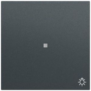 Wip ctrl.v. + sym.licht System 70 antracit(gel.)