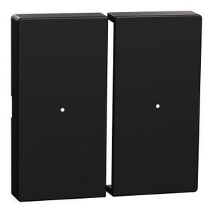 Tuimelaar Merten-System m 2-voudige drukknopmodule mat zwart
