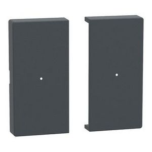 Rocker for 2-gang push-button module anthracite System M
