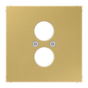 Afdekking luidspreker-BNC LS messing klass.