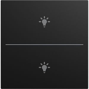 cpl v 2v drukknop lichtsymbool SI-B-matzwart (LFBT/A.2.55.11-915)