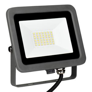 Schijnwerper LED 2.0 30W 3300lm 6500K grijs