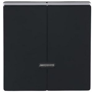 Toets voor seriedimmer 6565U f-antraciet (6545-81)