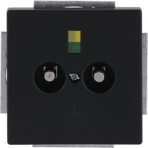 Aardingscontactdoos+Centraalplaat 2v inb f-matzw