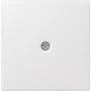 Afdekking snoeraftakking verb.doos System 55 zuiver wit m