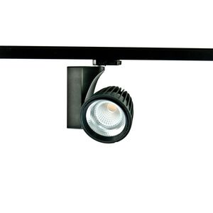 Tulip Big 2000lm 827 ND 40 3F BL