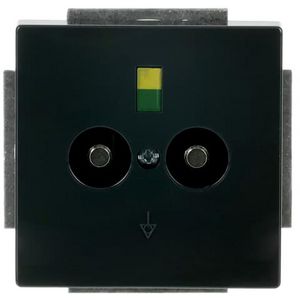 Aardingscontactdoos+Centraalplaat 2v inb f-antr