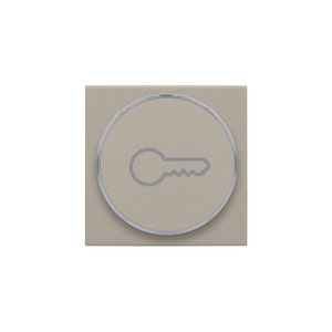 Afwerkingsset met doorschijnende ring met sleutelsymbool voor drukknop claystone textured