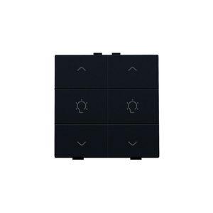 Dubbele dimbediening Home Control black coated